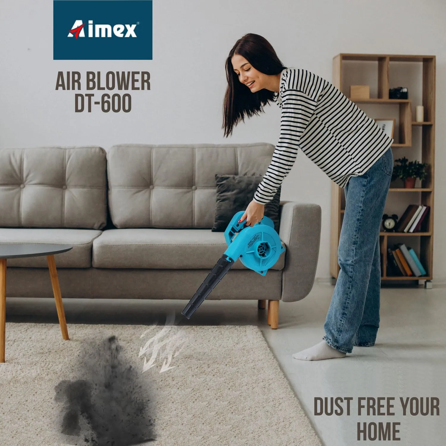 Aimex DT-601 Electric Air Blower, Blow Rate 3.5 m3/Min, Heavy Motor, 13000 RPM, Professional Quality, Clears Away Dust Particles from Furniture, Cars, Windows & Other Rigid Surfaces, 2.8 M Wire