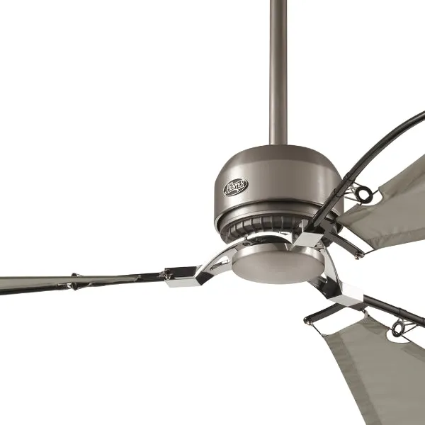 Avalon 62" Ceiling Fan by Hunter Fan Co.