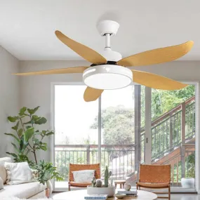 Baylor | Lighted Ceiling Fan