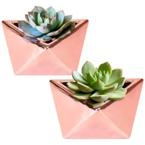 Geometric Shaped Succulent Pots