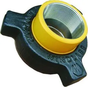 Hammer Union 3 in Fig 100