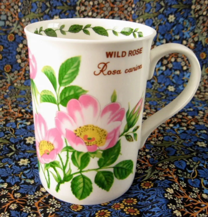 Mug Wild Rose Botanical English Bone China Crown Trent Pink Roses