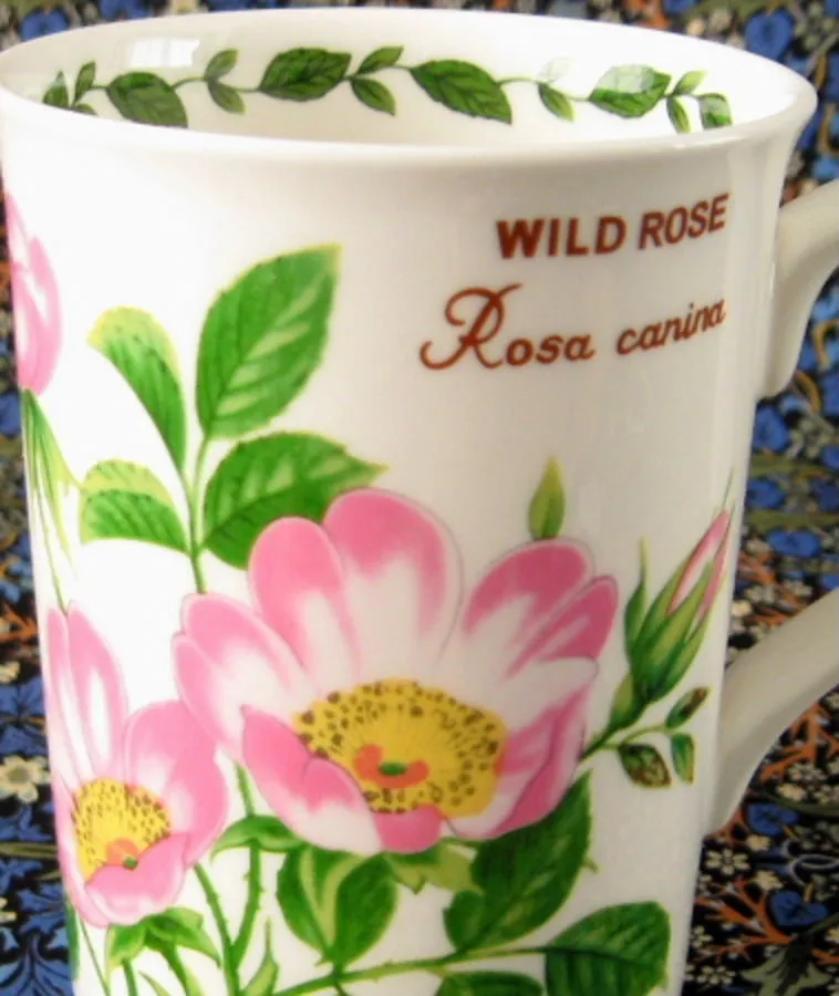 Mug Wild Rose Botanical English Bone China Crown Trent Pink Roses