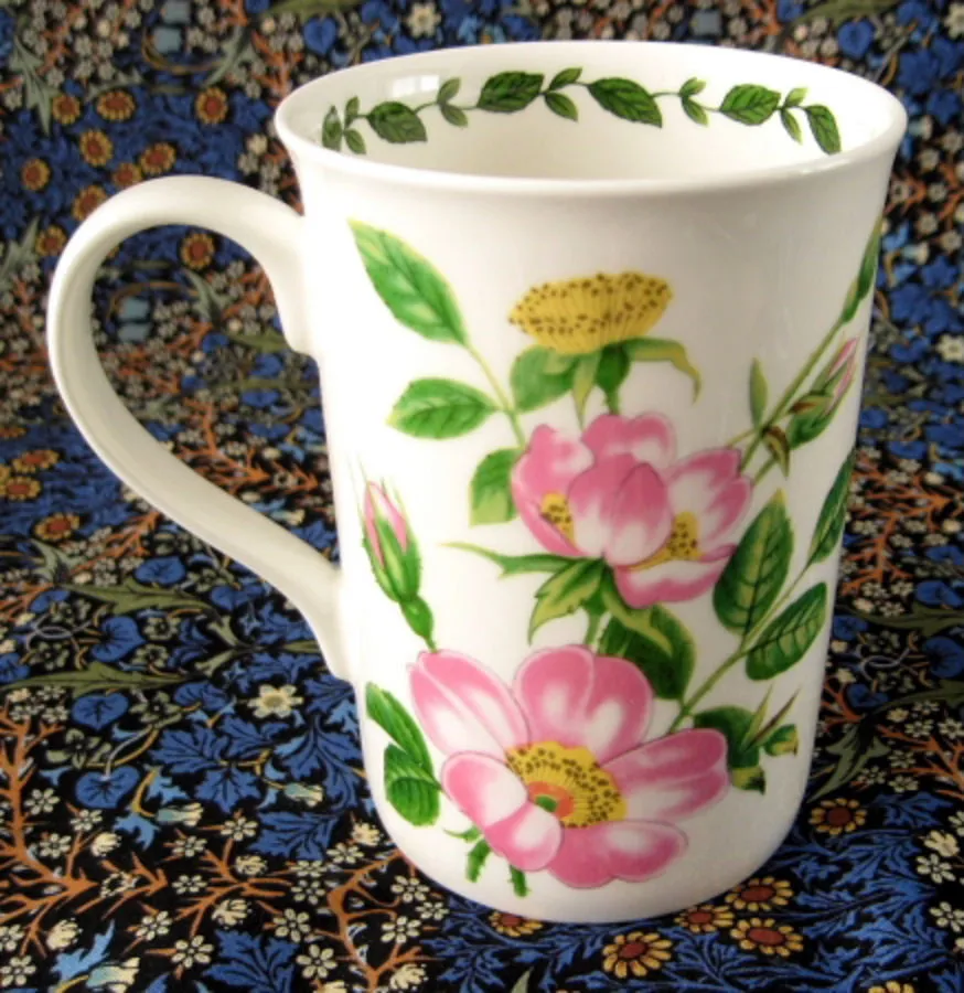 Mug Wild Rose Botanical English Bone China Crown Trent Pink Roses