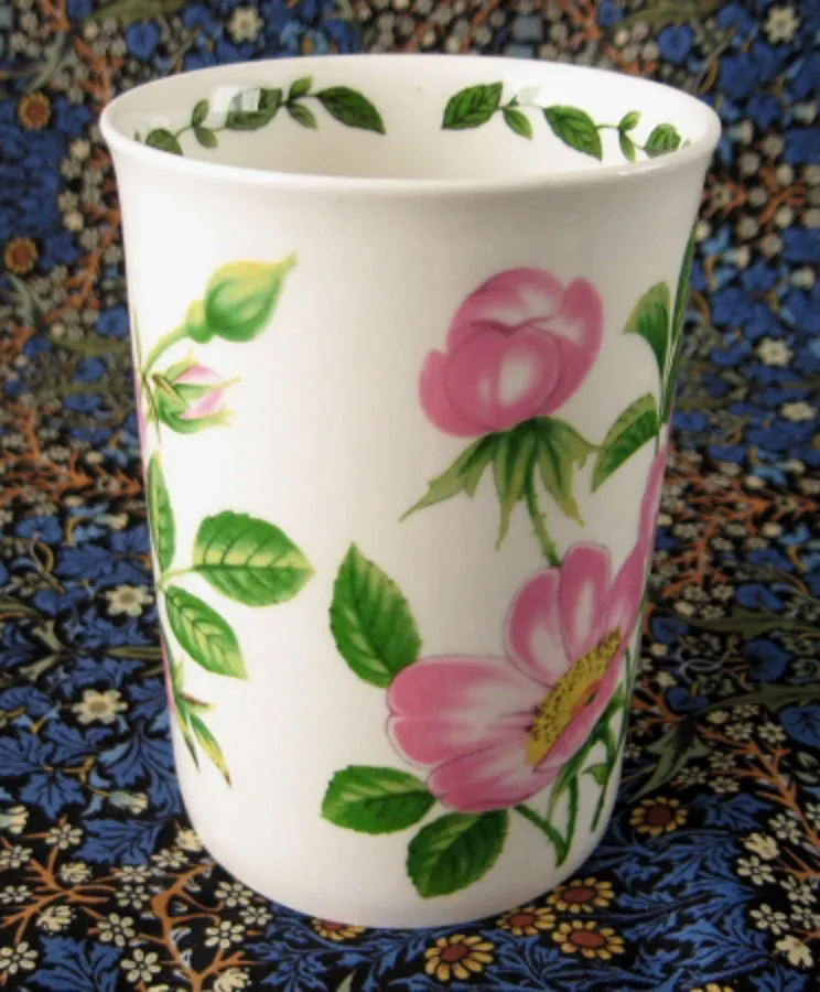 Mug Wild Rose Botanical English Bone China Crown Trent Pink Roses