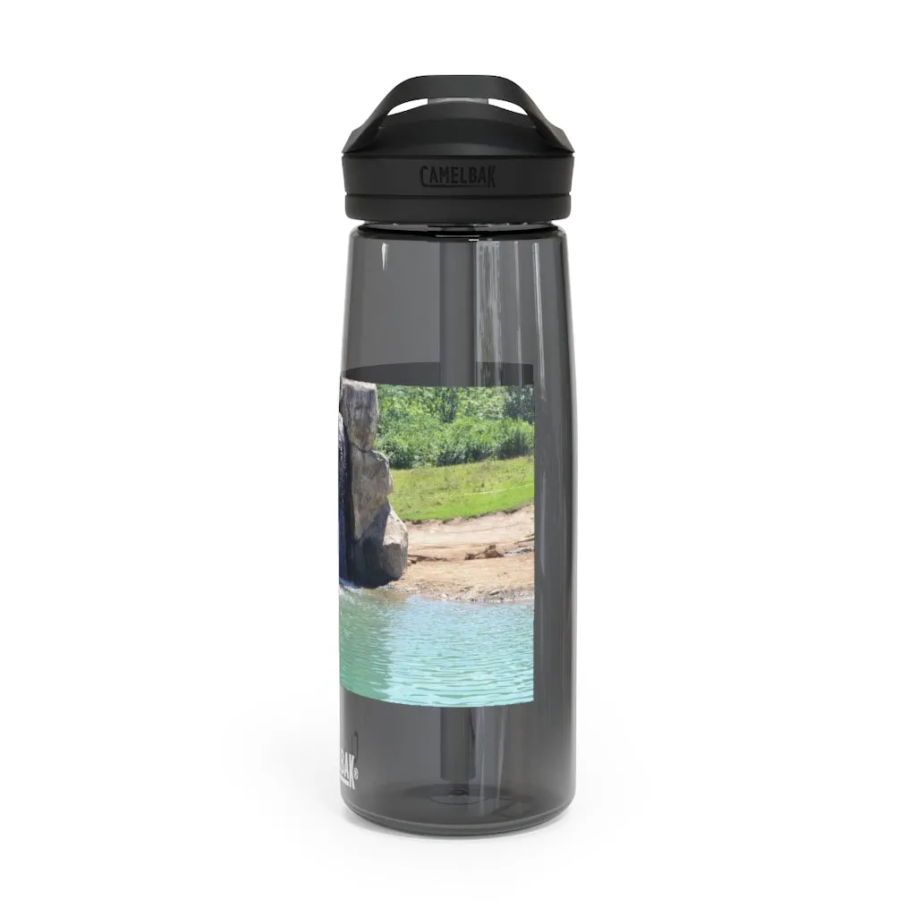 Rock Waterfall CamelBak Eddy®  Water Bottle, 20oz / 25oz