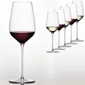 Sydonios Racine Collection - l’Universel Red, White & Champagne Wine Glass - Set of 6