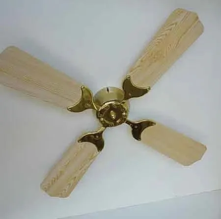 Trusty 12v DC Ceiling Fans